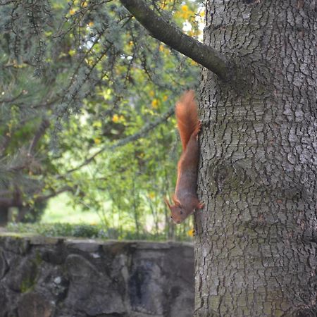 Domaine Insolite Du Petit Moras Chomérac Zewnętrze zdjęcie